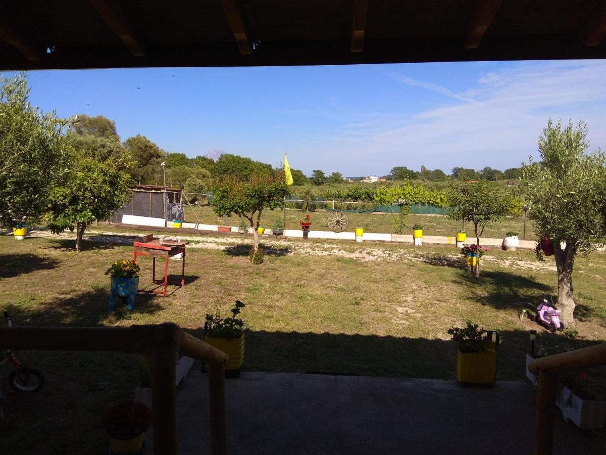 Apartment Farma Giannis