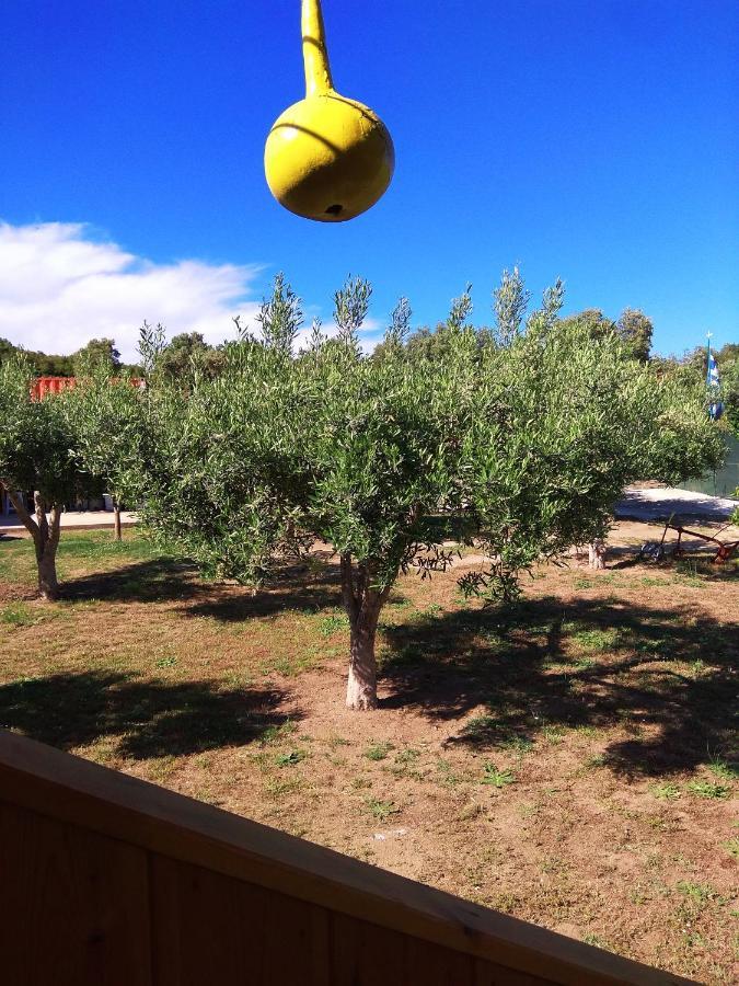 Farma Giannis Apartment Sarti